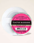 Cactus Blossom