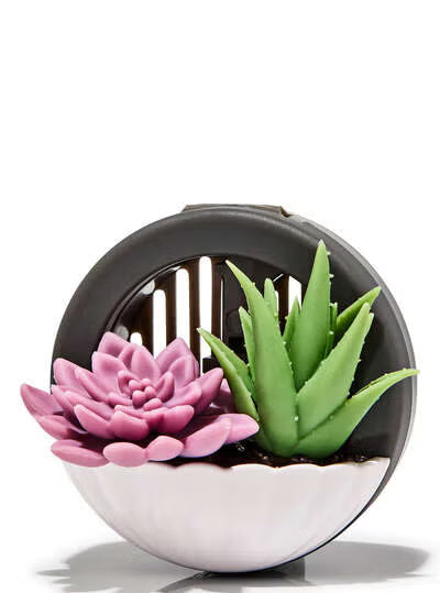 Succulent